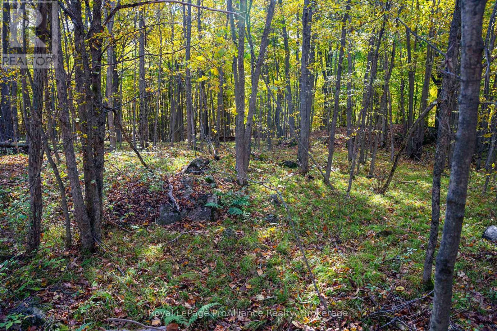 Pt Lots 12 & 13 Devil Lake Road, South Frontenac (Frontenac South), Ontario  K0G 1X0 - Photo 17 - X9413105