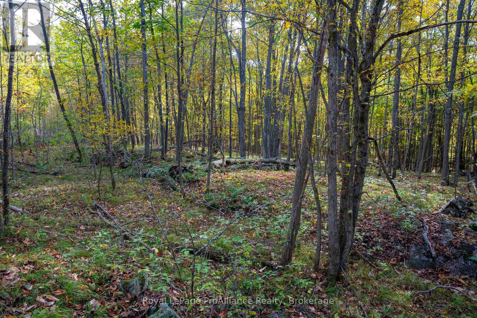 Pt Lots 12 & 13 Devil Lake Road, South Frontenac (Frontenac South), Ontario  K0G 1X0 - Photo 18 - X9413105