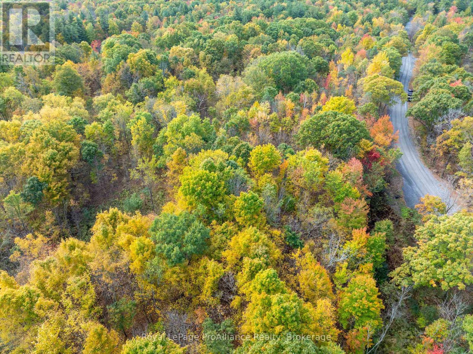 Pt Lots 12 & 13 Devil Lake Road, South Frontenac (Frontenac South), Ontario  K0G 1X0 - Photo 20 - X9413105