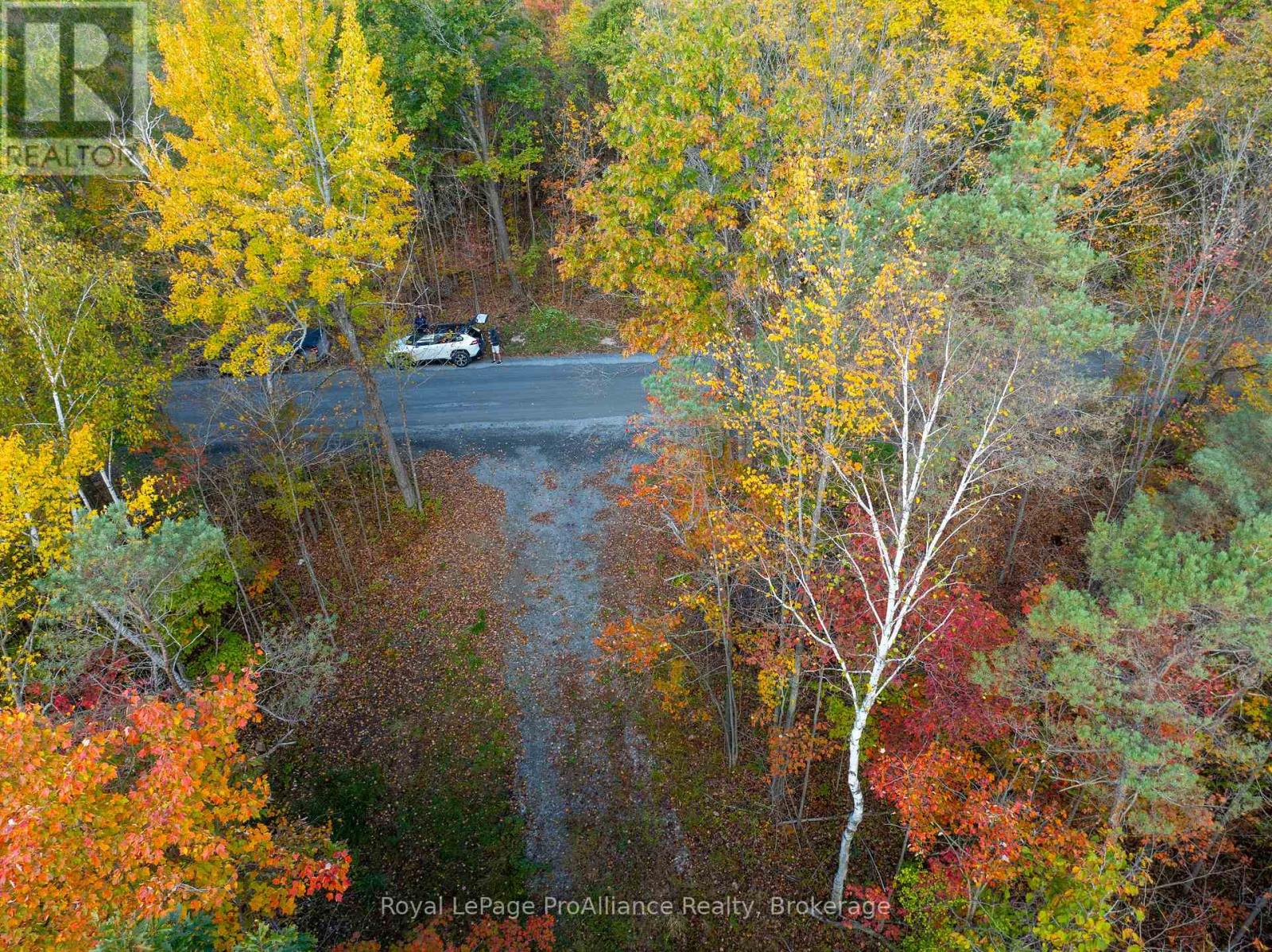 Pt Lots 12 & 13 Devil Lake Road, South Frontenac (Frontenac South), Ontario  K0G 1X0 - Photo 29 - X9413105