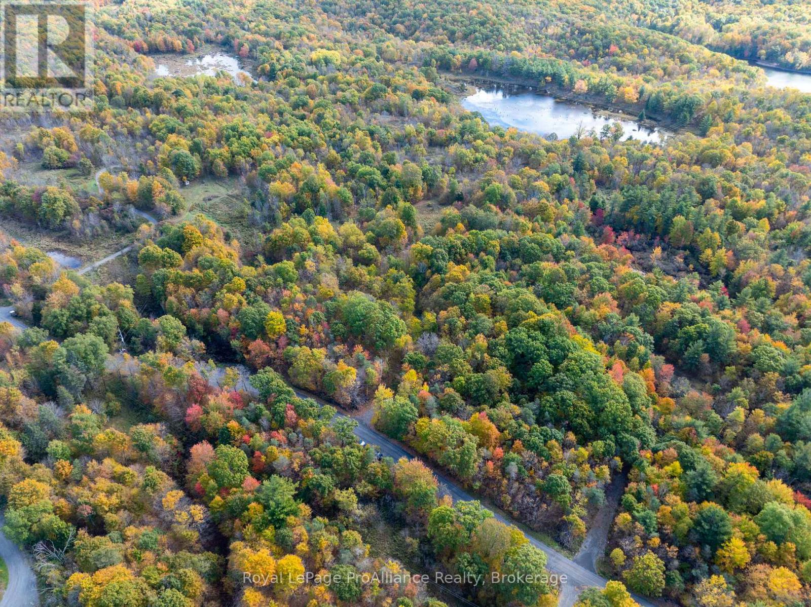 Pt Lots 12 & 13 Devil Lake Road, South Frontenac (Frontenac South), Ontario  K0G 1X0 - Photo 5 - X9413105