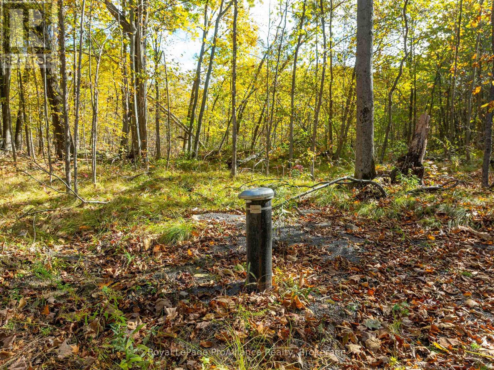 Pt Lots 12 & 13 Devil Lake Road, South Frontenac (Frontenac South), Ontario  K0G 1X0 - Photo 9 - X9413105