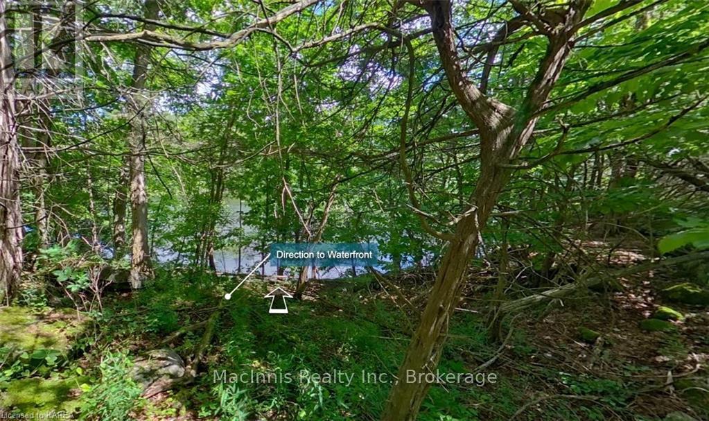 Lot 2 Trillium Lane, South Frontenac (Frontenac South), Ontario  K0H 2N0 - Photo 13 - X9413095