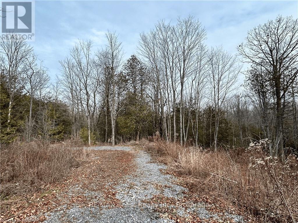 269 9th Concession Road, Stone Mills, Ontario  K0K 1Z0 - Photo 11 - X9507669