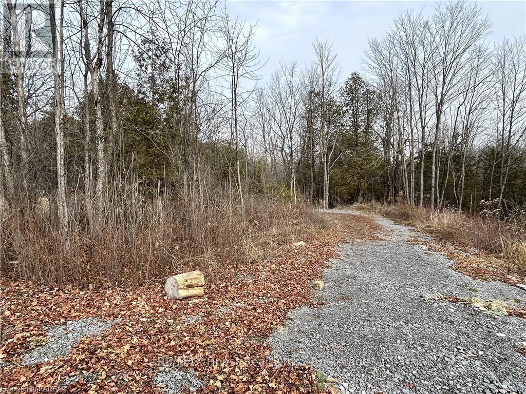 269 9th Concession Road, Stone Mills, Ontario  K0K 1Z0 - Photo 12 - X9507669