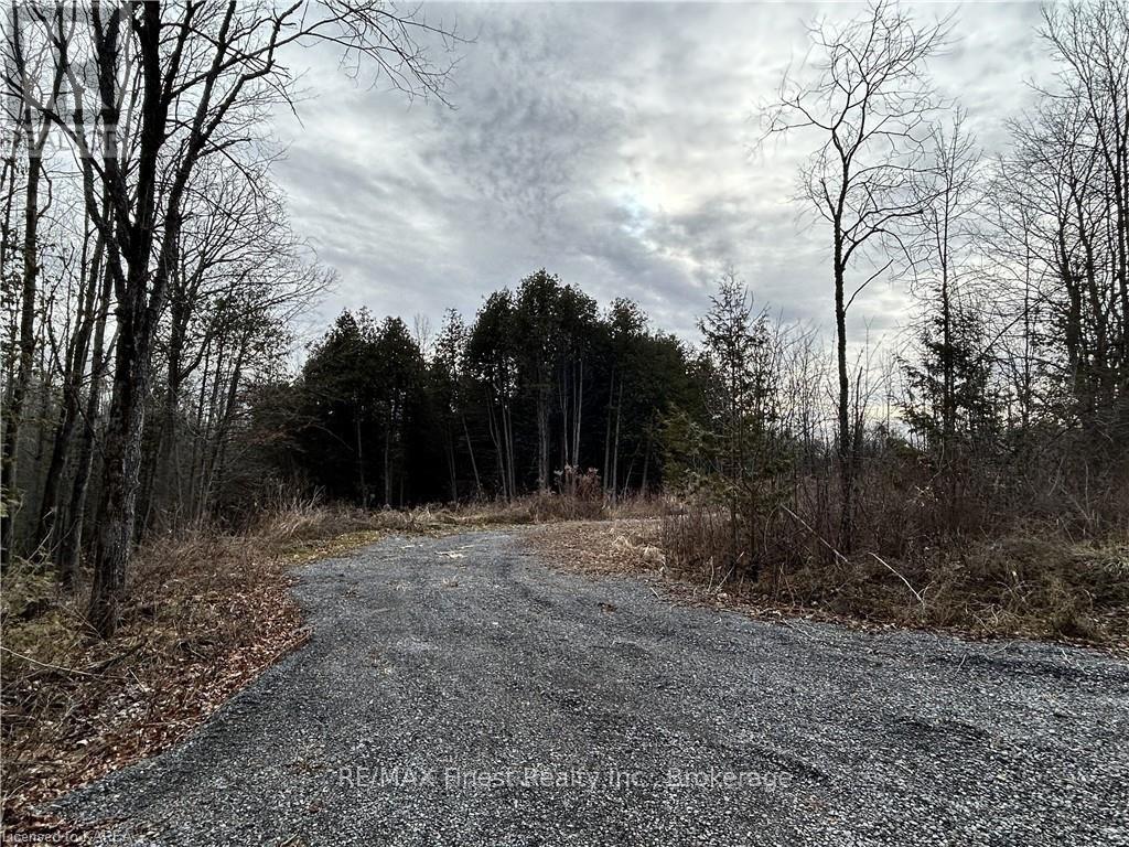 269 9th Concession Road, Stone Mills, Ontario  K0K 1Z0 - Photo 7 - X9507669