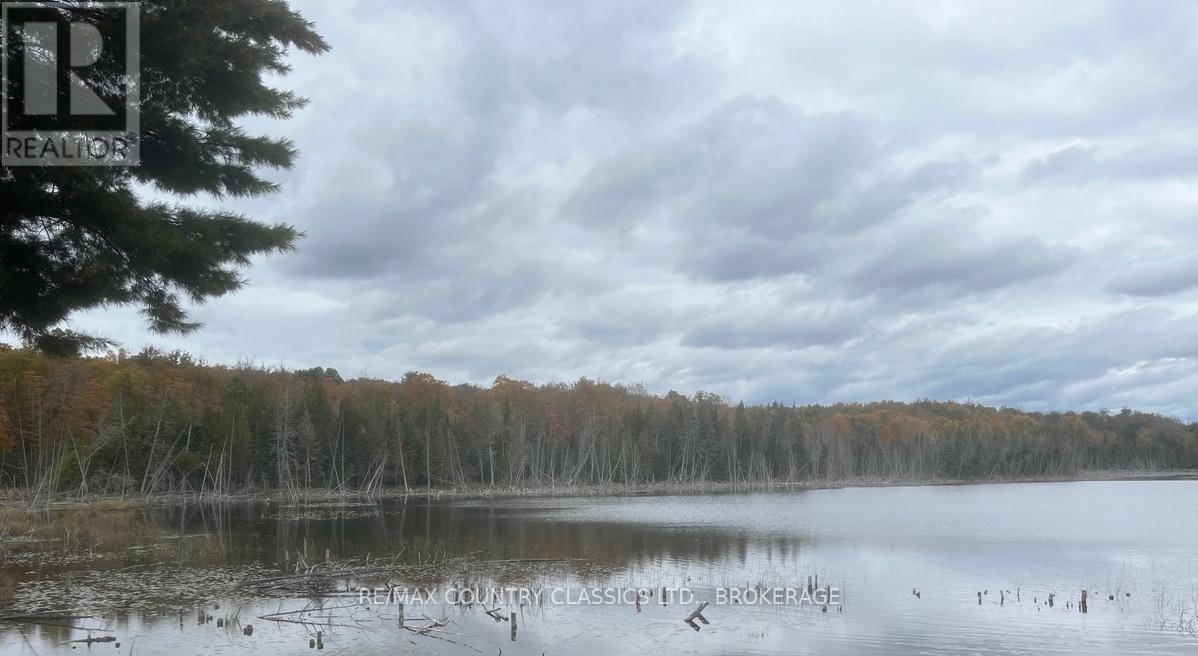 0 Bull Lake Road, Central Frontenac (Frontenac Centre), Ontario  K0H 1B0 - Photo 3 - X10408023