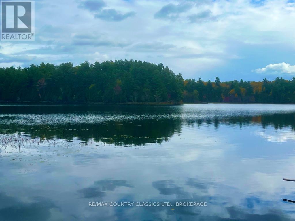 000 Bull Lake, Central Frontenac (Frontenac Centre), Ontario  K0H 1B0 - Photo 2 - X10408067