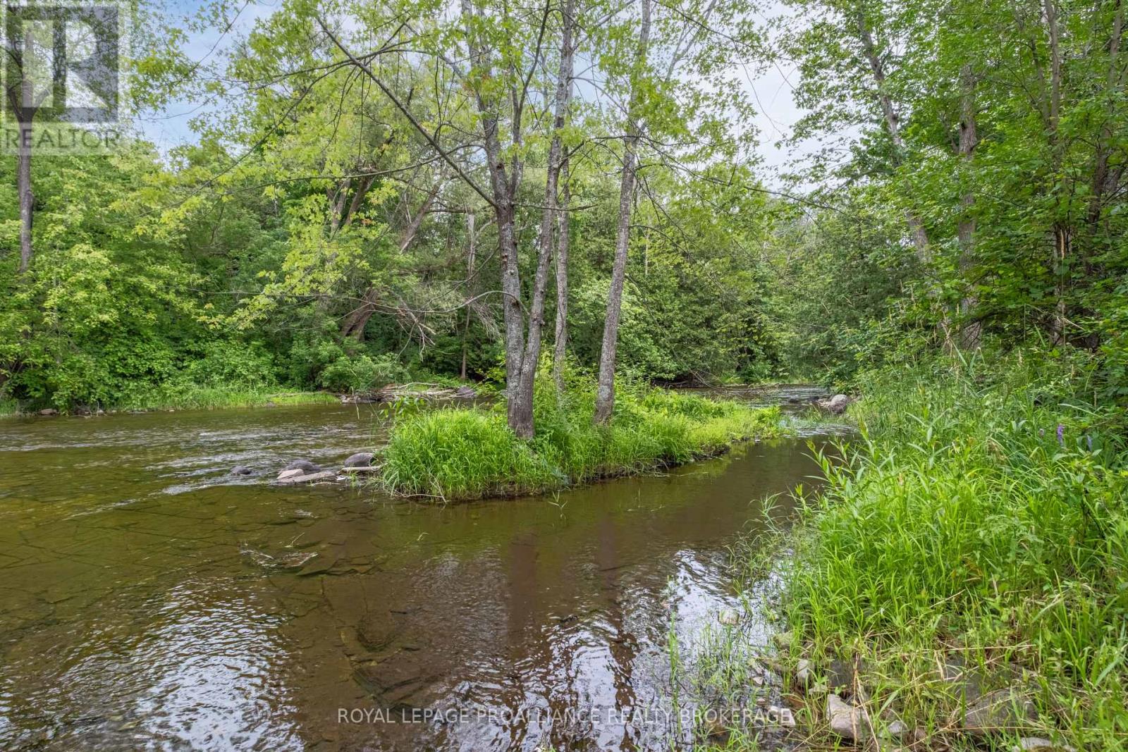 40 Concession Street S, Stone Mills, Ontario  K0K 3G0 - Photo 4 - X9019340