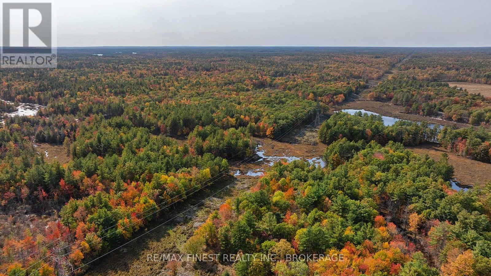 Lot 12 Concession 4, Central Frontenac (Frontenac Centre), Ontario  K0H 1T0 - Photo 11 - X10411350