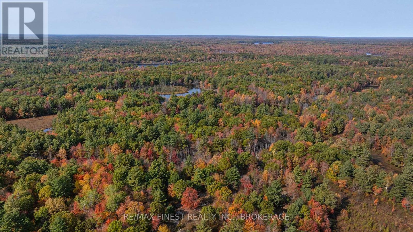 Lot 12 Concession 4, Central Frontenac (Frontenac Centre), Ontario  K0H 1T0 - Photo 13 - X10411350