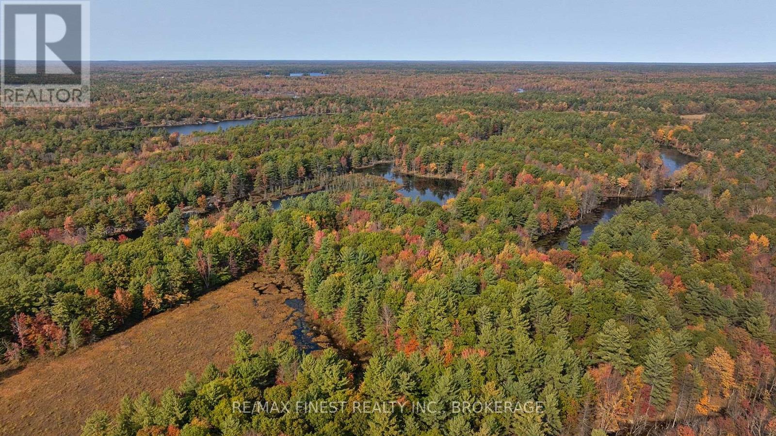 Lot 12 Concession 4, Central Frontenac (Frontenac Centre), Ontario  K0H 1T0 - Photo 15 - X10411350