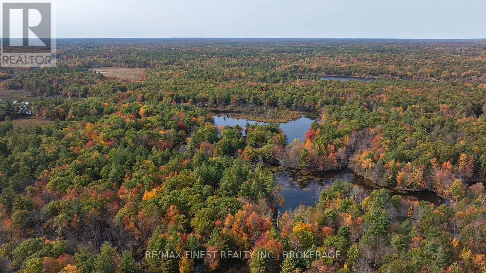 Lot 12 Concession 4, Central Frontenac (Frontenac Centre), Ontario  K0H 1T0 - Photo 5 - X10411350