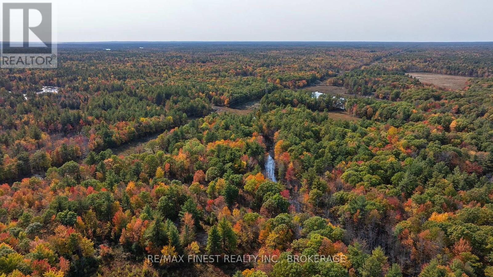 Lot 12 Concession 4, Central Frontenac (Frontenac Centre), Ontario  K0H 1T0 - Photo 6 - X10411350