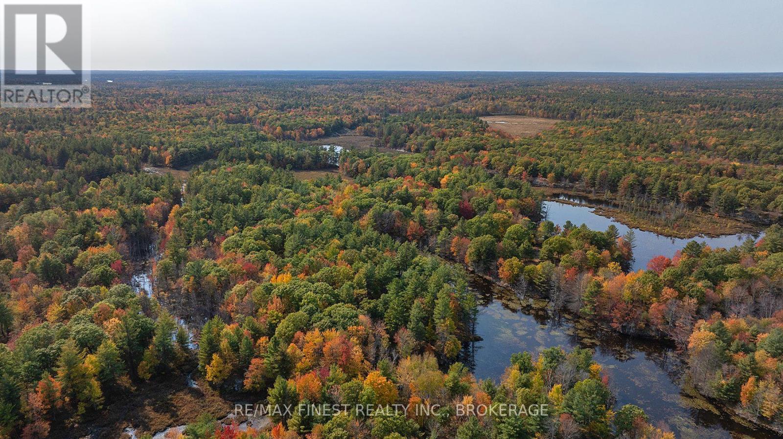 Lot 12 Concession 4, Central Frontenac (Frontenac Centre), Ontario  K0H 1T0 - Photo 8 - X10411350