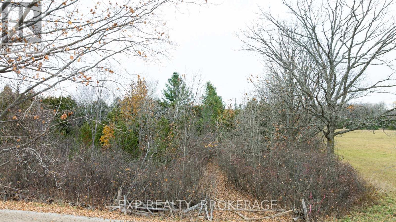 00 Squire Road E, Stirling-Rawdon, Ontario  K0K 3C0 - Photo 4 - X10412097