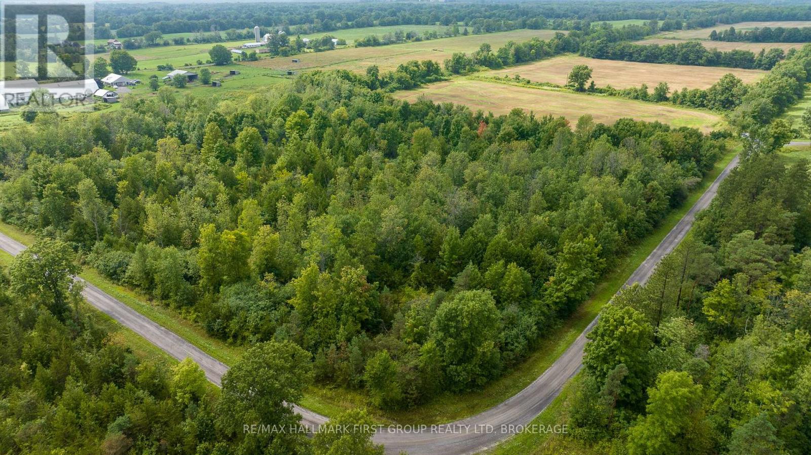 119 Christopher Road Road, Stone Mills, Ontario  K0K 1Z0 - Photo 14 - X8281478