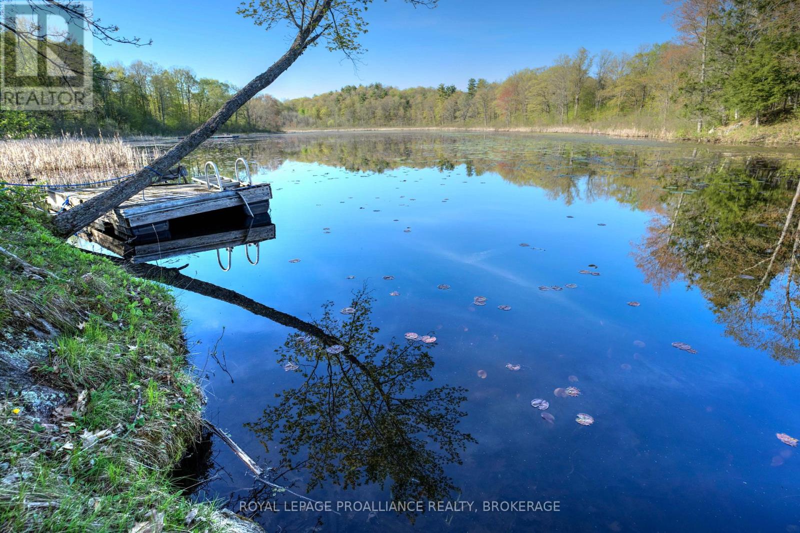 Pt Lt 2 Creek Crossing Lane, Westport, Ontario  K0G 1X0 - Photo 12 - X9374859