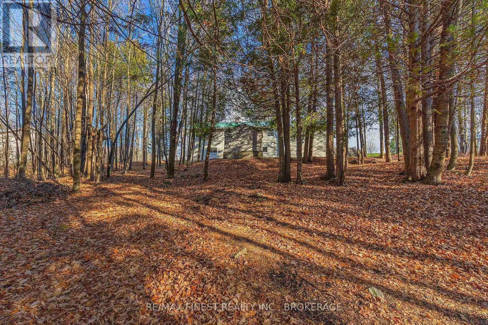 1107 Village Woods Drive, Central Frontenac (Frontenac Centre), Ontario  K0H 2P0 - Photo 17 - X10426828