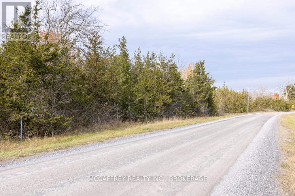 Pt 12 Meach Road, Greater Napanee, Ontario  K0K 1Z0 - Photo 4 - X10428969