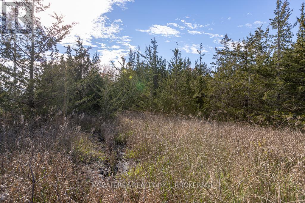 Pt 12 Meach Road, Greater Napanee, Ontario  K0K 1Z0 - Photo 7 - X10428969