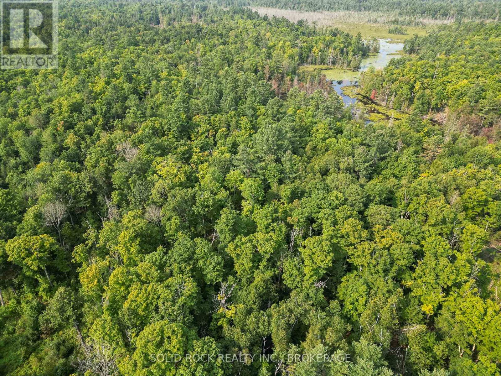 Pt Lt 2 Highway 41, Addington Highlands, Ontario  K0H 2G0 - Photo 16 - X10431080