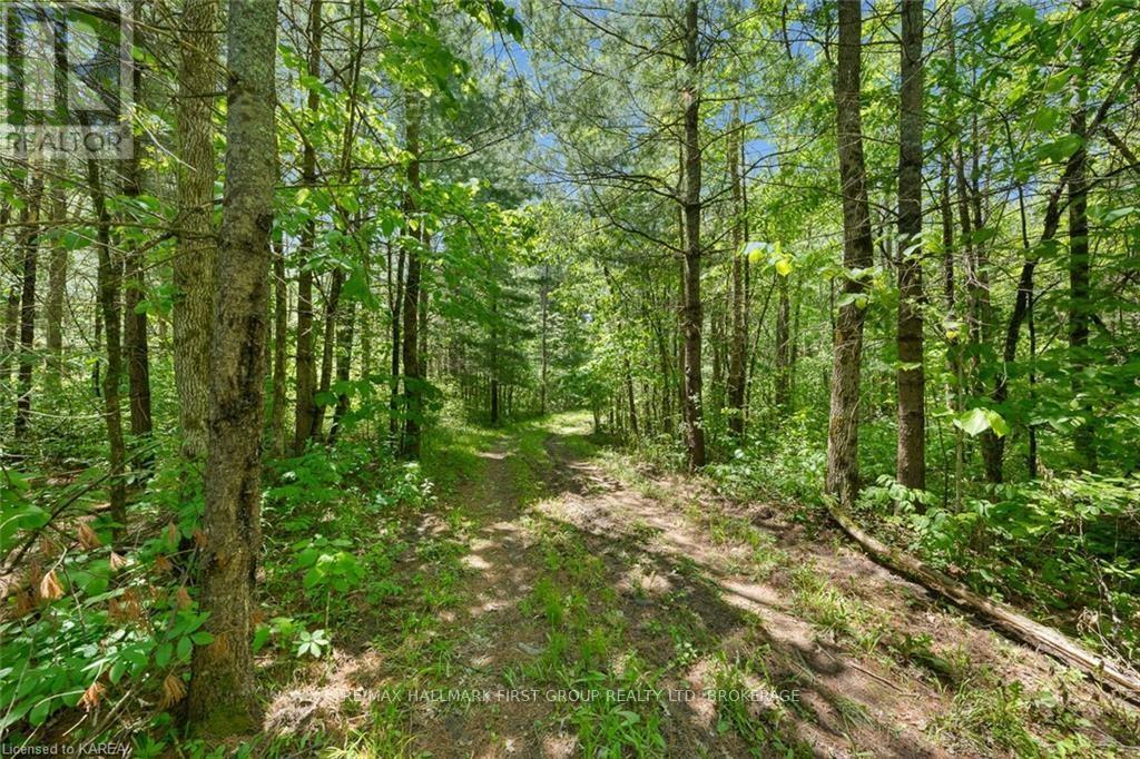 Lot 0 County Road 27, Stone Mills, Ontario  K0K 1Z0 - Photo 23 - X10477036