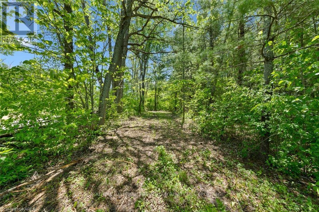 Lot 0 County Road 27, Stone Mills, Ontario  K0K 1Z0 - Photo 31 - X10477036