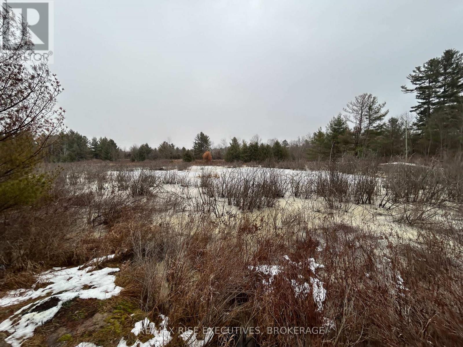 Lot 16 Echo Lake Road, Central Frontenac, Ontario  K0H 2K0 - Photo 10 - X11896494