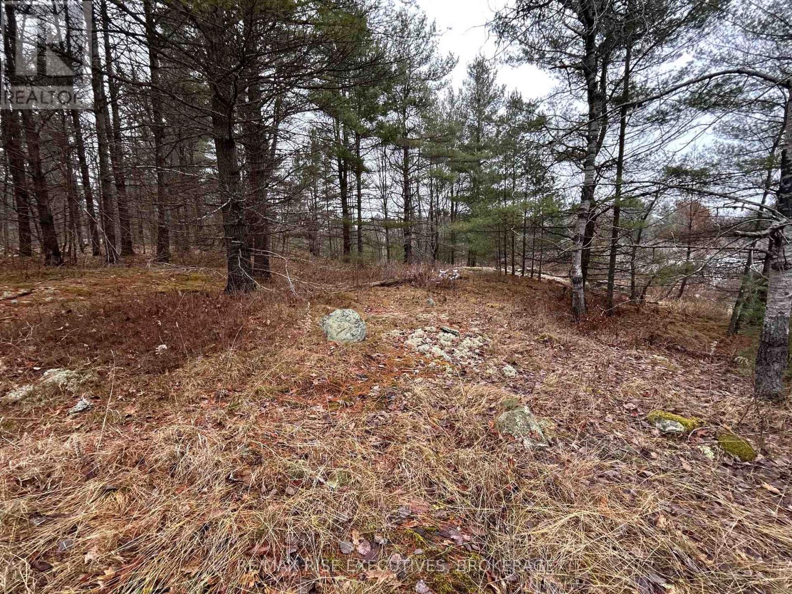 Lot 16 Echo Lake Road, Central Frontenac, Ontario  K0H 2K0 - Photo 13 - X11896494