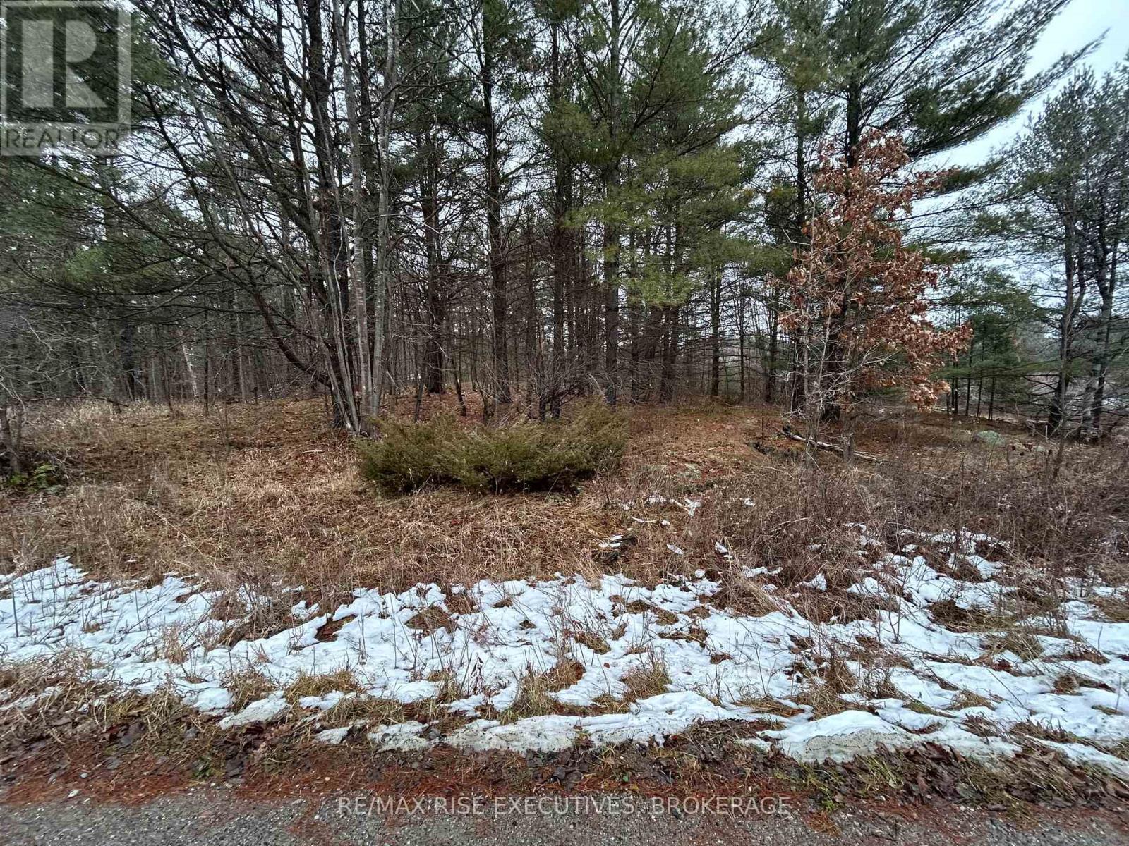 Lot 16 Echo Lake Road, Central Frontenac, Ontario  K0H 2K0 - Photo 15 - X11896494