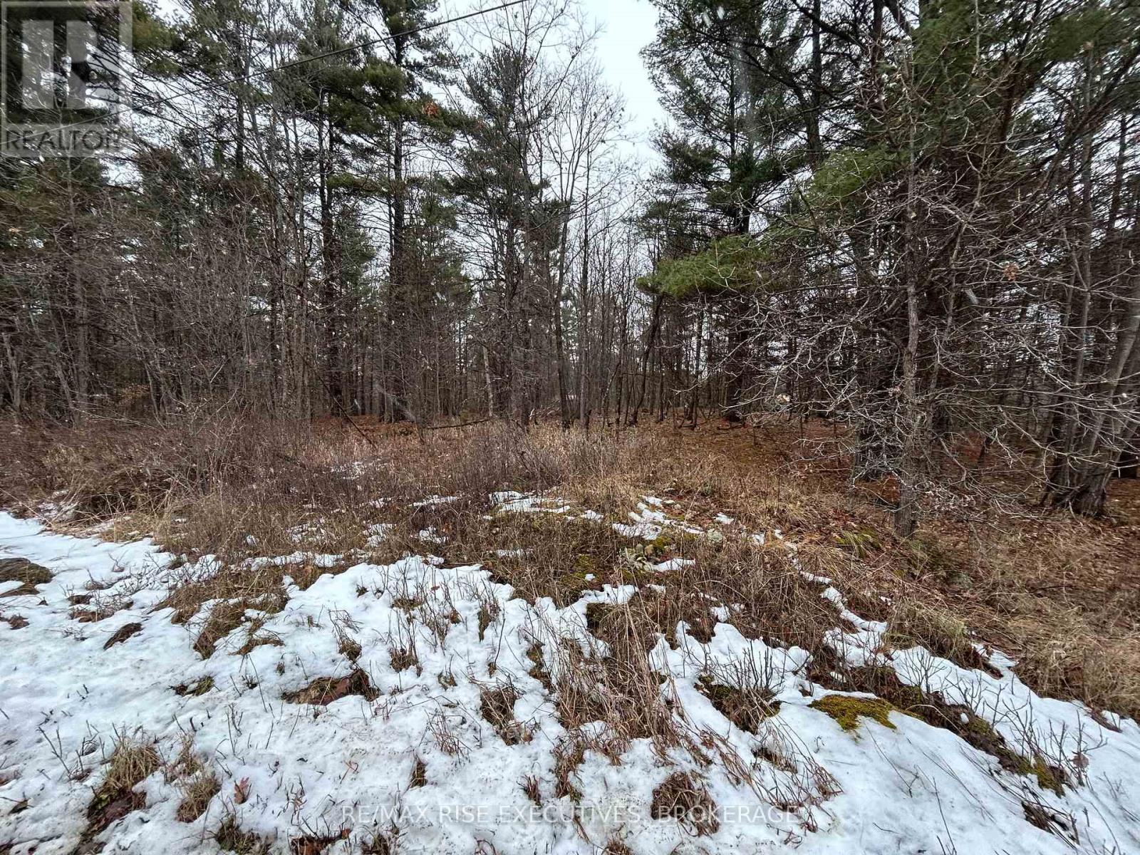 Lot 16 Echo Lake Road, Central Frontenac, Ontario  K0H 2K0 - Photo 16 - X11896494