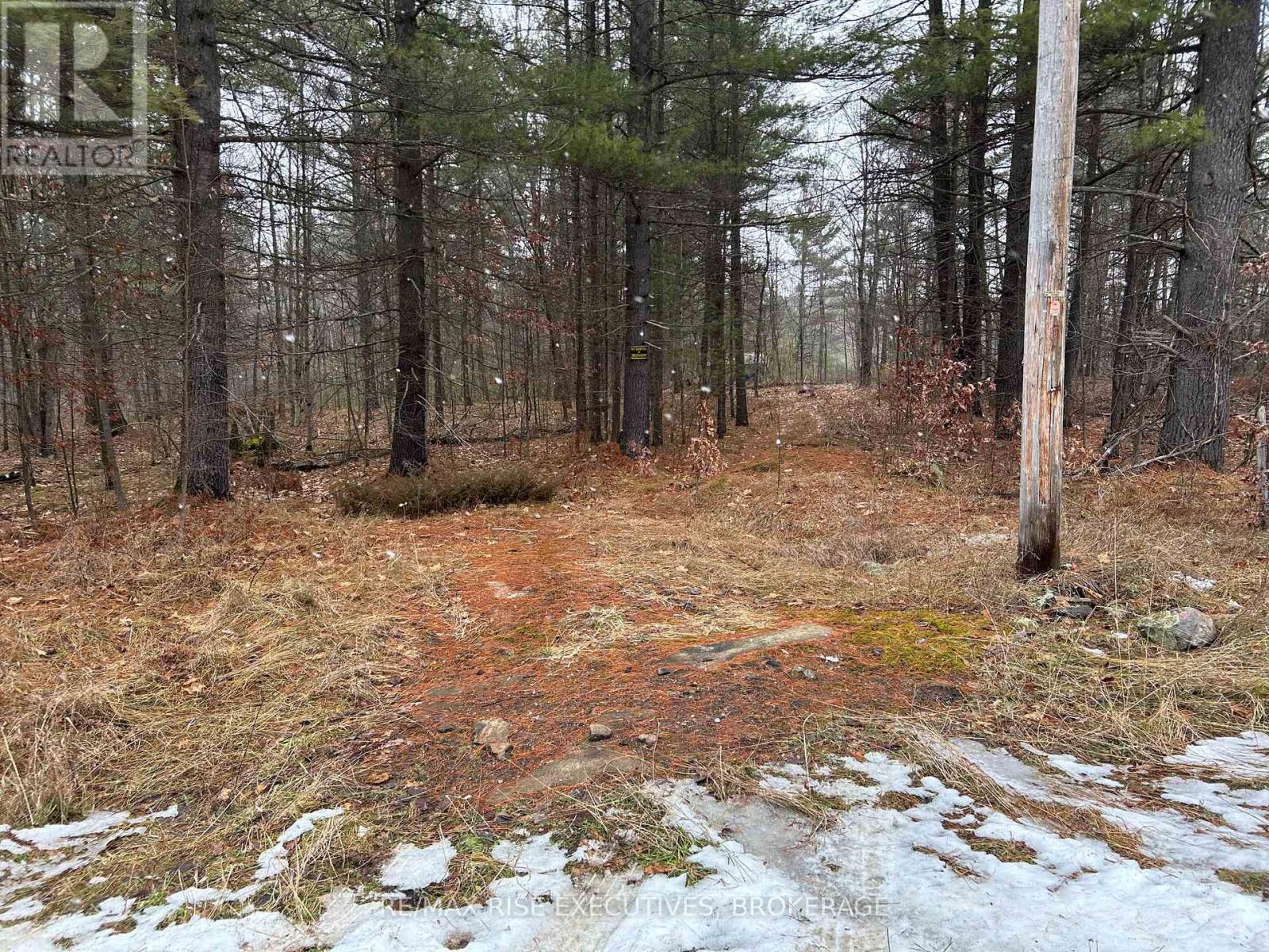 Lot 16 Echo Lake Road, Central Frontenac, Ontario  K0H 2K0 - Photo 19 - X11896494