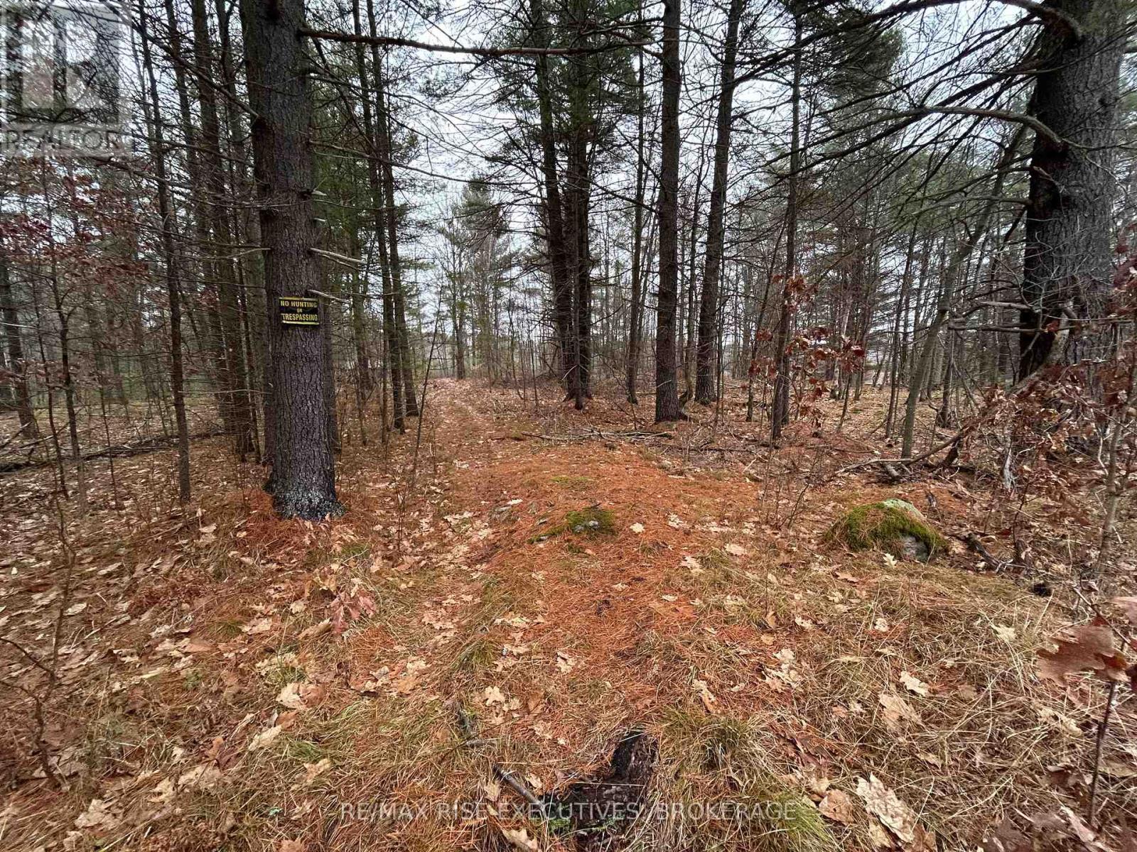 Lot 16 Echo Lake Road, Central Frontenac, Ontario  K0H 2K0 - Photo 2 - X11896494