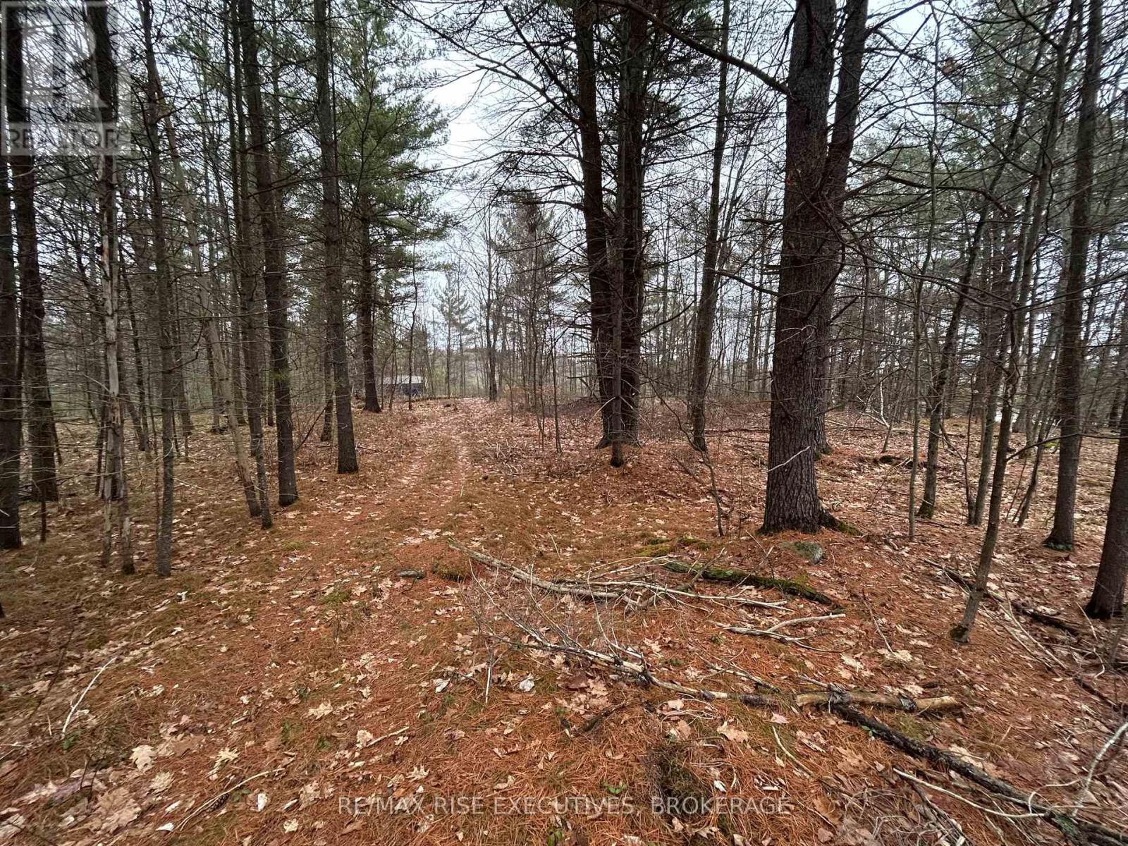 Lot 16 Echo Lake Road, Central Frontenac, Ontario  K0H 2K0 - Photo 3 - X11896494