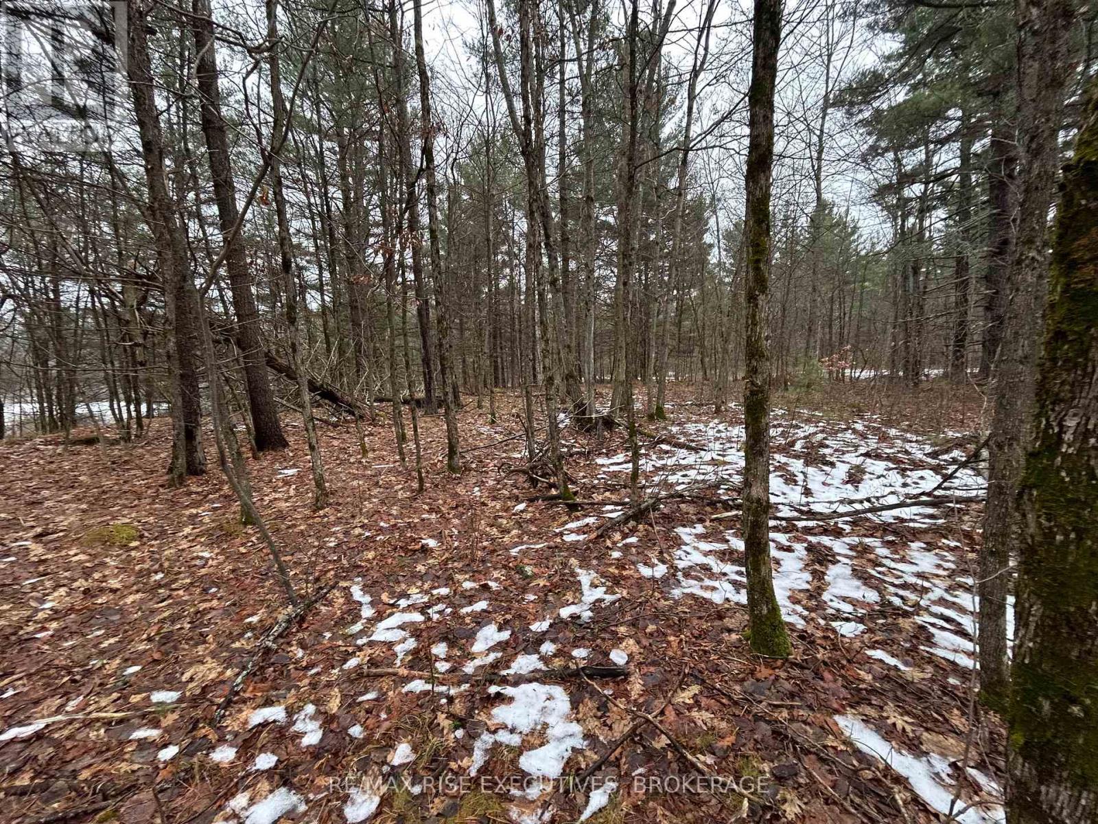 Lot 16 Echo Lake Road, Central Frontenac, Ontario  K0H 2K0 - Photo 5 - X11896494