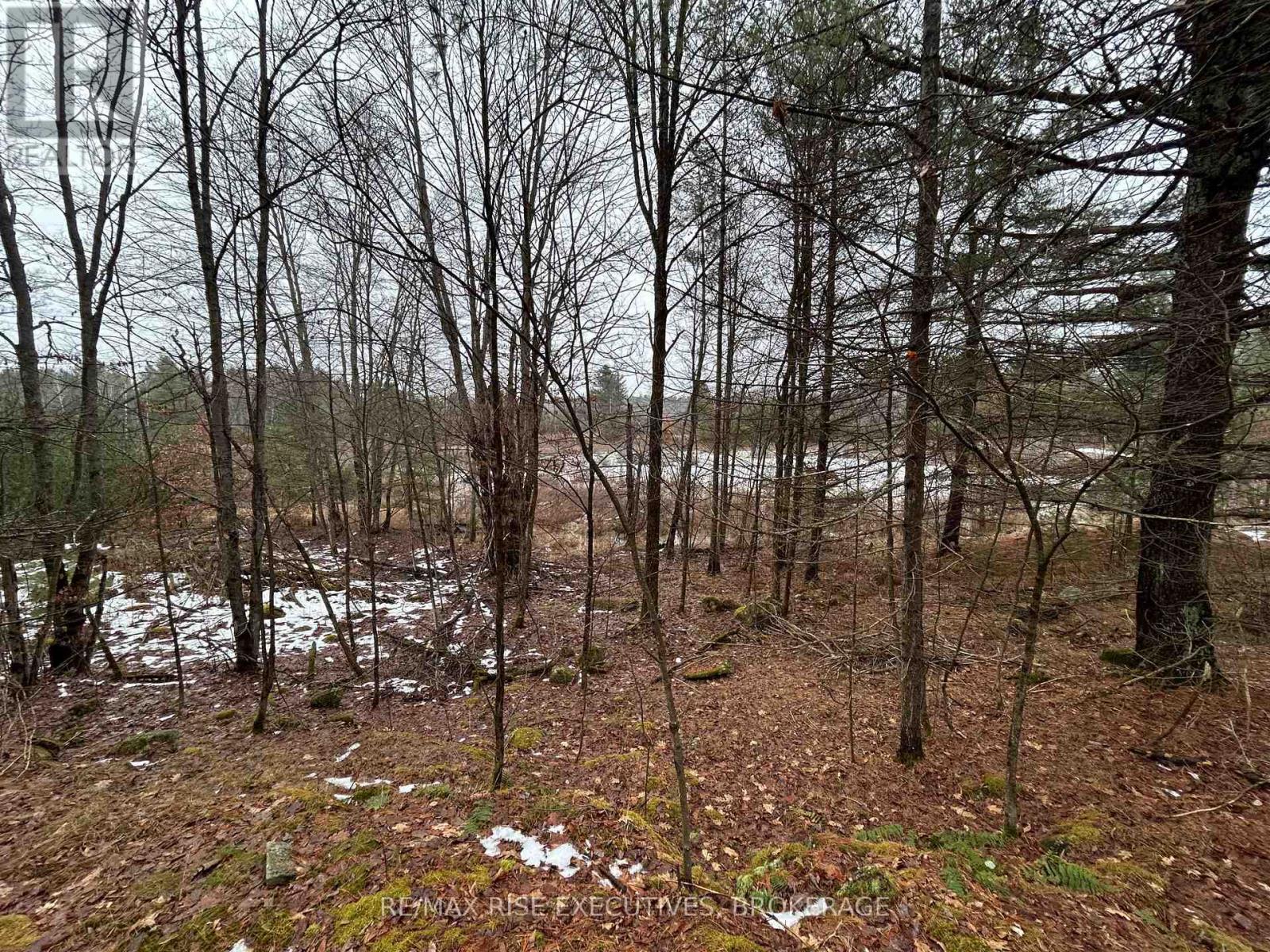 Lot 16 Echo Lake Road, Central Frontenac, Ontario  K0H 2K0 - Photo 6 - X11896494