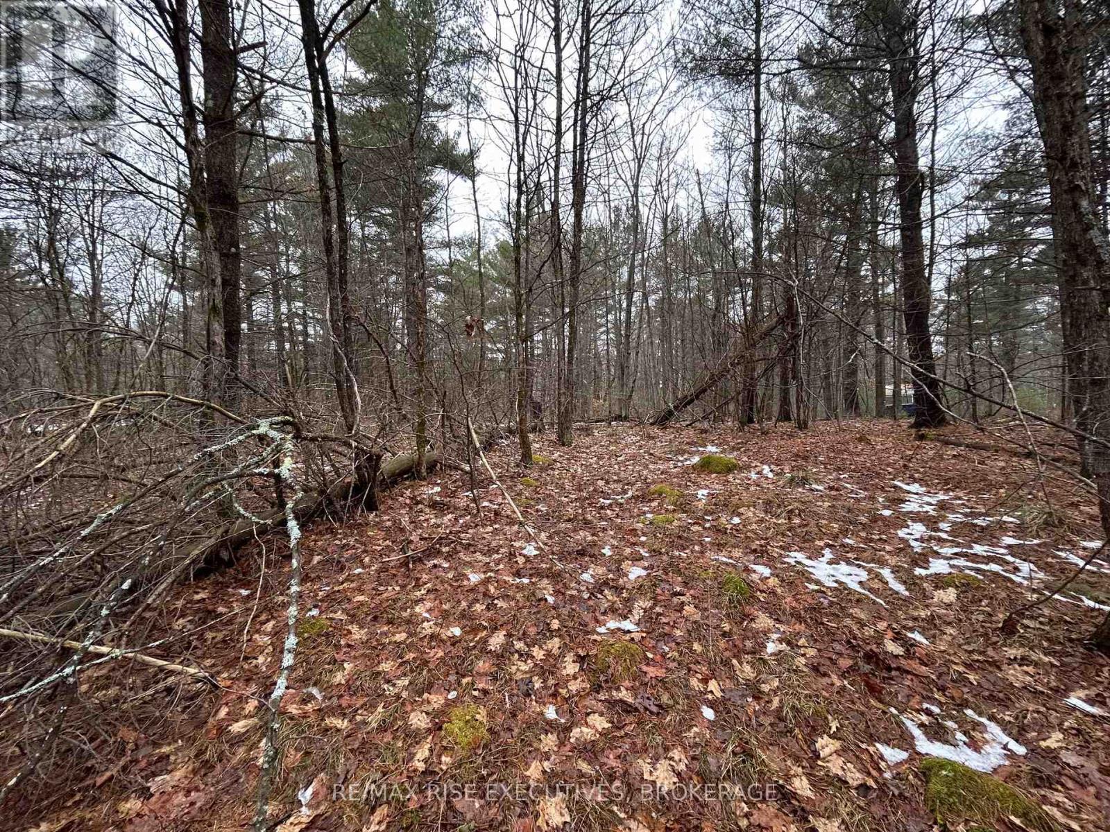 Lot 16 Echo Lake Road, Central Frontenac, Ontario  K0H 2K0 - Photo 7 - X11896494