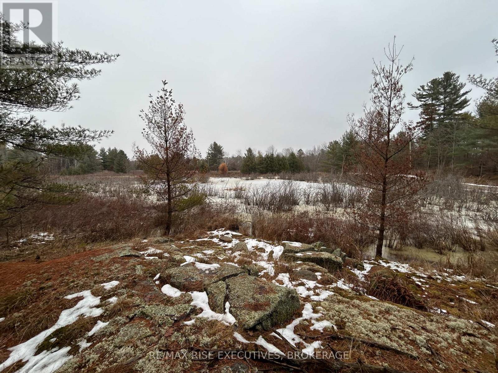 Lot 16 Echo Lake Road, Central Frontenac, Ontario  K0H 2K0 - Photo 8 - X11896494