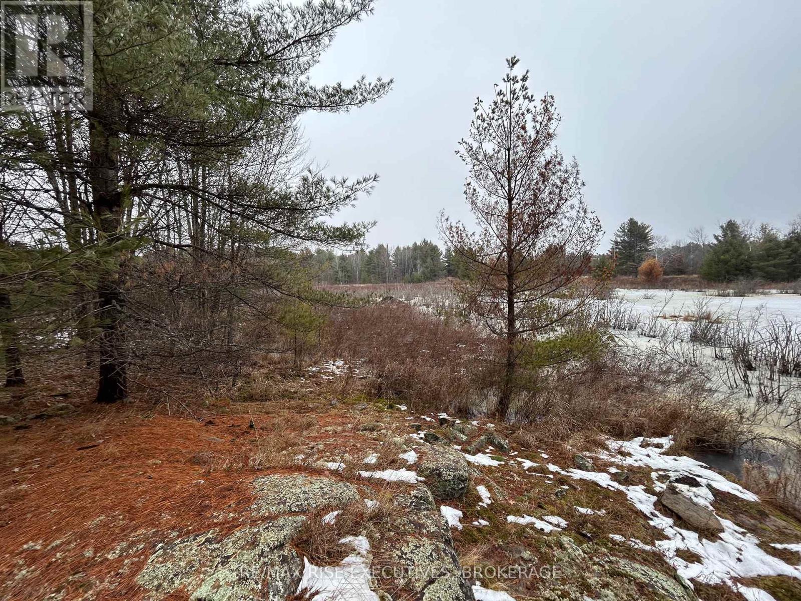 Lot 16 Echo Lake Road, Central Frontenac, Ontario  K0H 2K0 - Photo 9 - X11896494