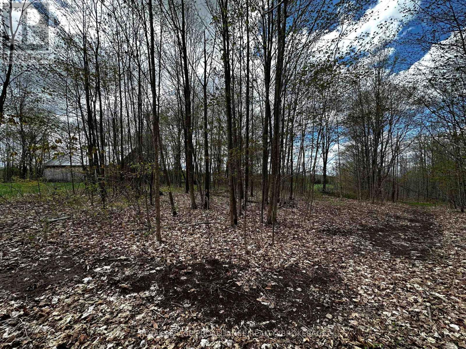 Lot 3 Jamieson Road, South Frontenac (Frontenac South), Ontario  K0H 1V0 - Photo 13 - X11898039