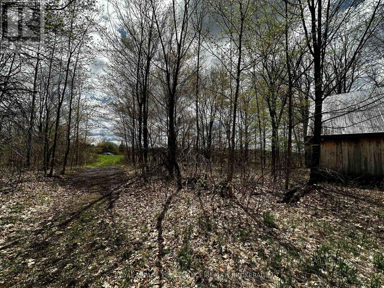 Lot 3 Jamieson Road, South Frontenac (Frontenac South), Ontario  K0H 1V0 - Photo 17 - X11898039