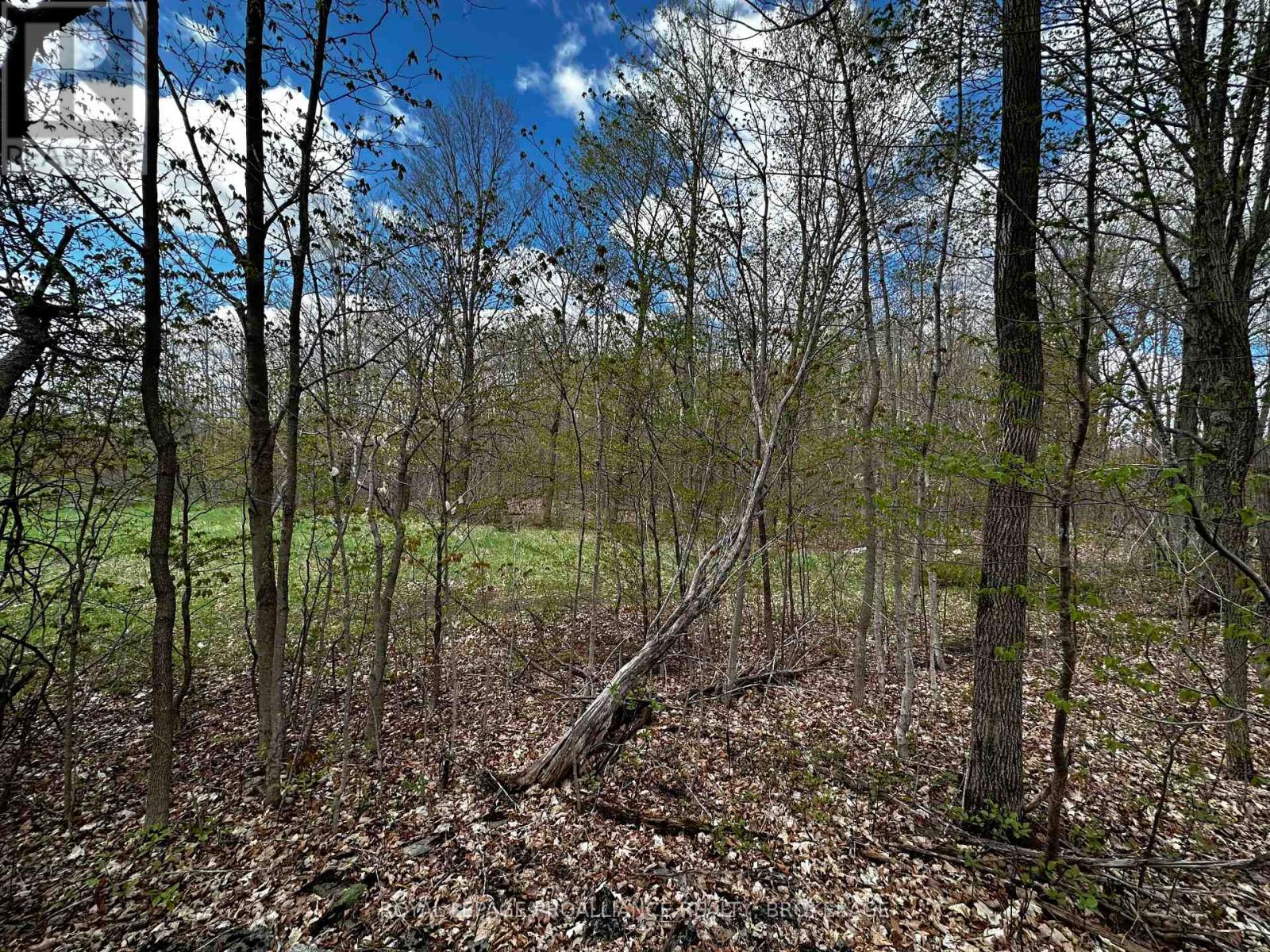 Lot 3 Jamieson Road, South Frontenac (Frontenac South), Ontario  K0H 1V0 - Photo 7 - X11898039