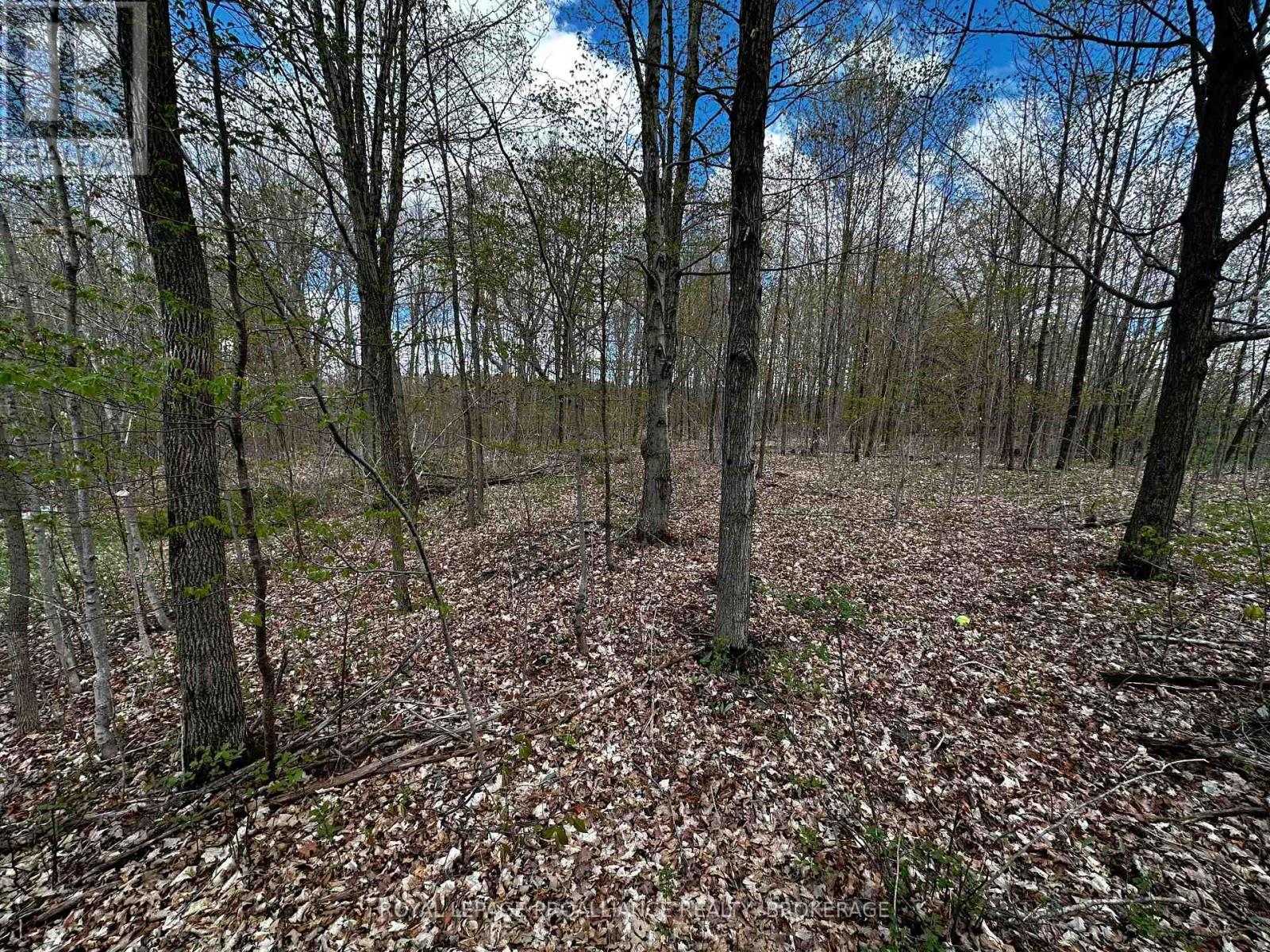 Lot 3 Jamieson Road, South Frontenac (Frontenac South), Ontario  K0H 1V0 - Photo 8 - X11898039