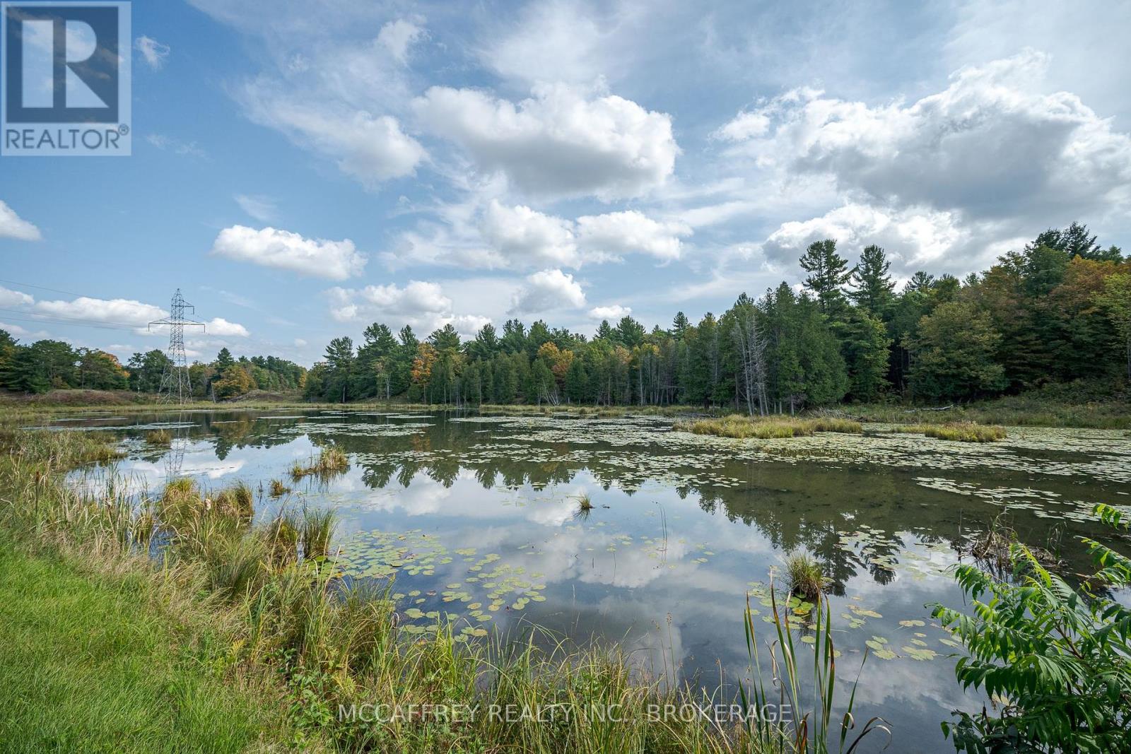 2970 Mountain Road, Stone Mills, Ontario  K0K 1Z0 - Photo 5 - X11904654