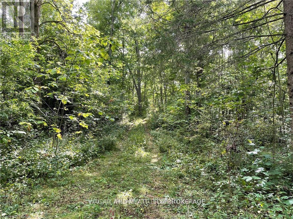 . Bridge Street W, Greater Napanee, Ontario  K7R 3L1 - Photo 12 - X11904713