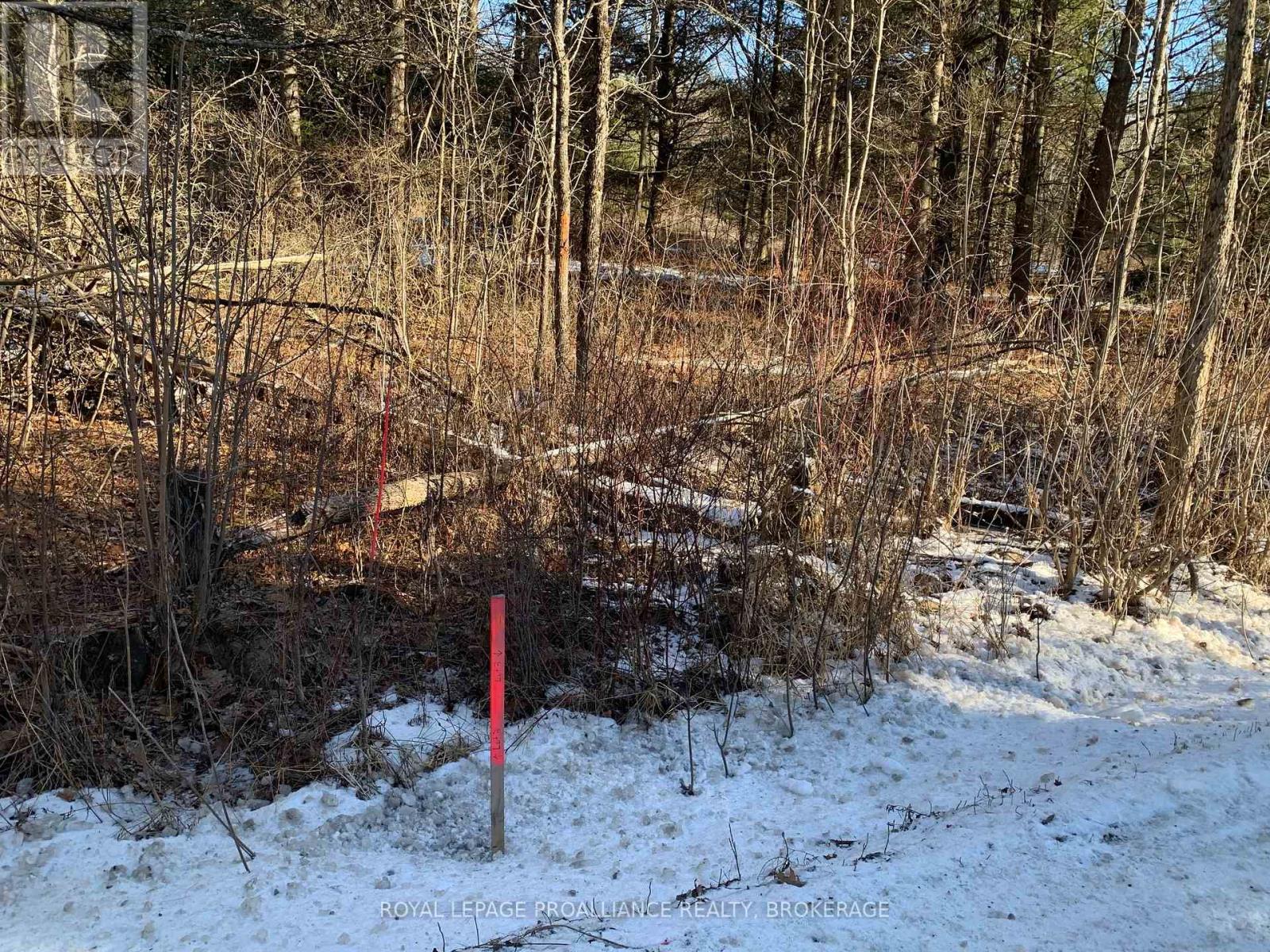 Lot 3 Leveque Road, South Frontenac (Frontenac South), Ontario  K0H 2W0 - Photo 2 - X11915657