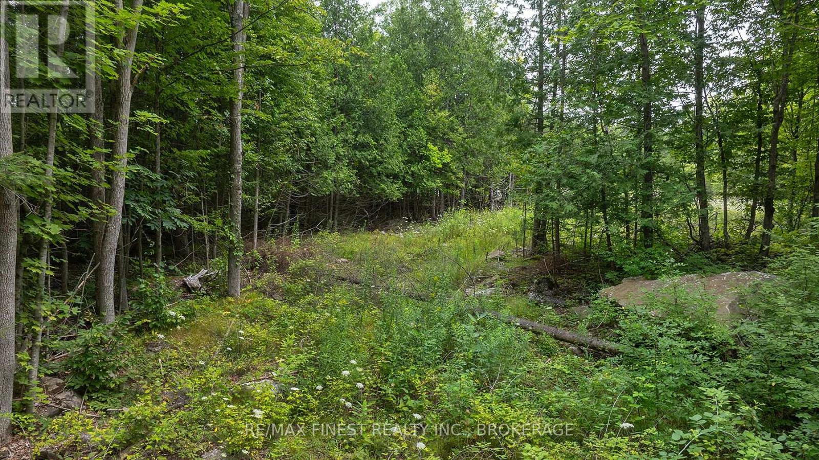 41 Stonehedge Road, Stone Mills, Ontario  K0K 2L0 - Photo 22 - X11916810