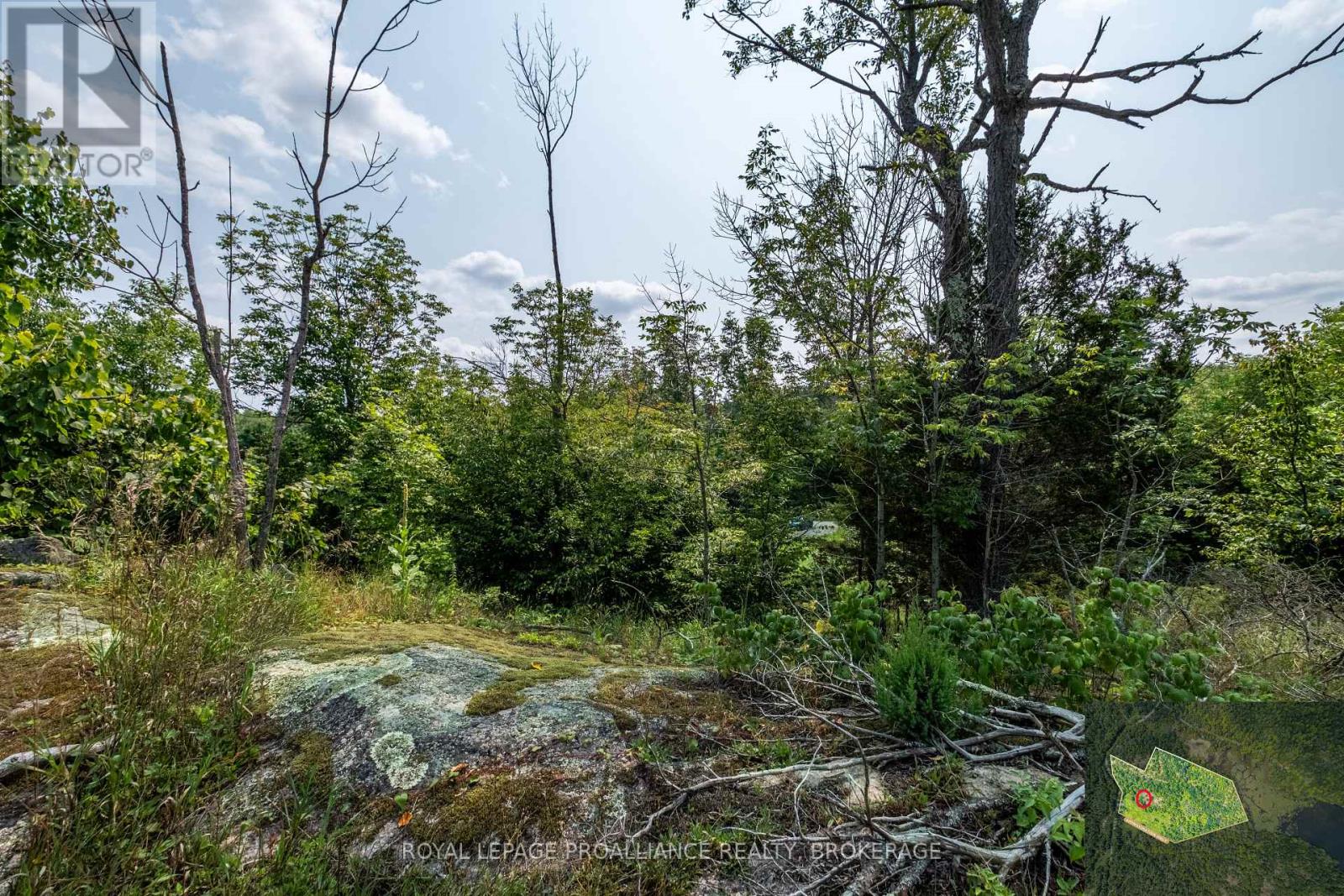 Lot 11 Ritz Road, Rideau Lakes, Ontario  K0G 1E0 - Photo 16 - X11928845