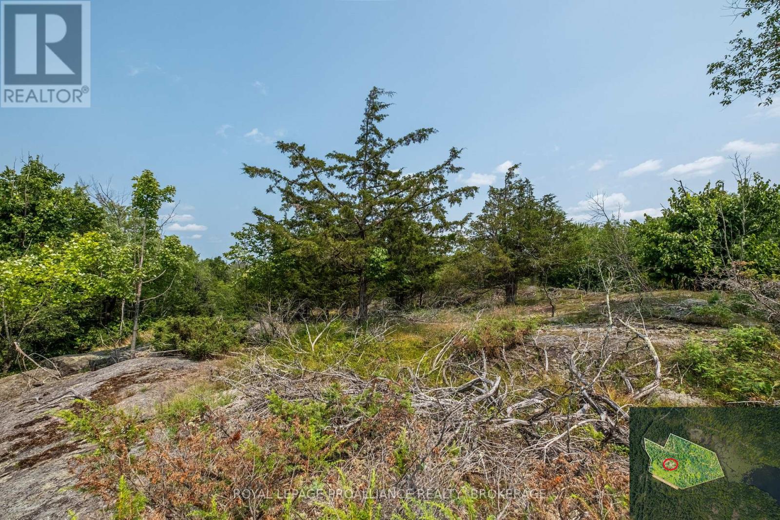 Lot 11 Ritz Road, Rideau Lakes, Ontario  K0G 1E0 - Photo 17 - X11928845